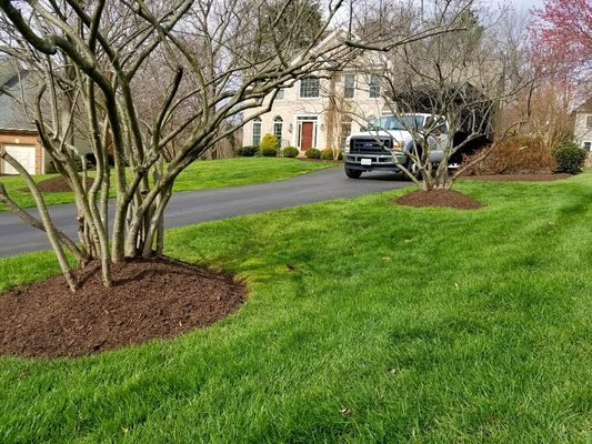 Mulch Services in Vienna VA