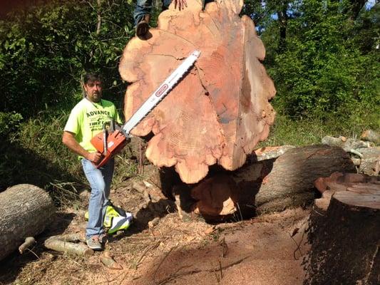 Advance Tree Care