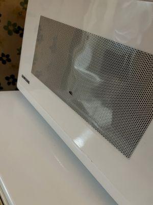 Baby cockroach on microwave...husband in the reflection taking a pic of the cockroaches in the shower