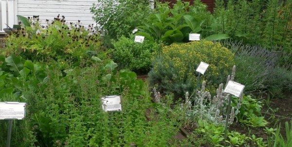 Old Aurora Colony Museum Herb Garden