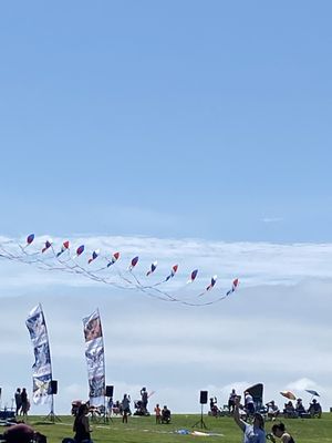 Newport Kite Festival