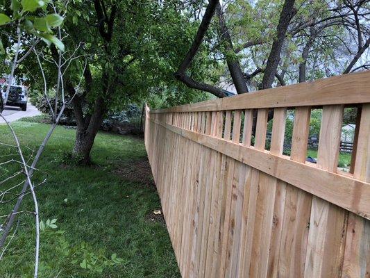 Box lattice fence