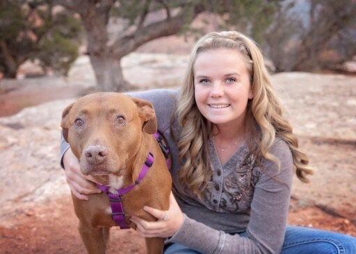 Colorado Canine Academy