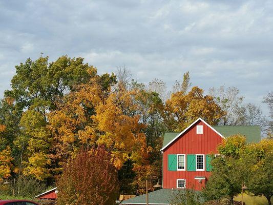 A Beautiful Fall Day at Gildas Club