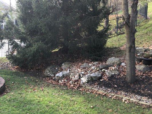 Pile of leaves 360 Lawn Solution blew under pine tree to hide from having to haul away.