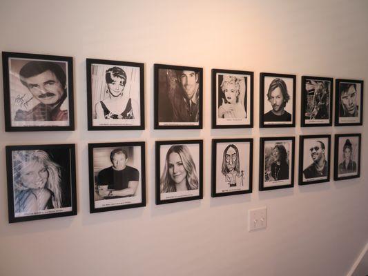 Celebrity Suite wall of Michigan born actors and musicians.