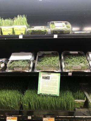 Local grown microgreens