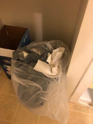 His adult soiled briefs overflowing in the bathroom garbage