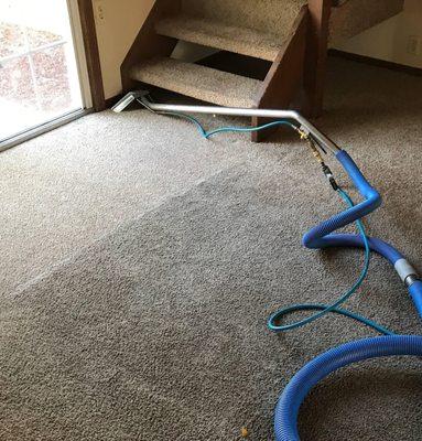 WMD Carpet Cleaning