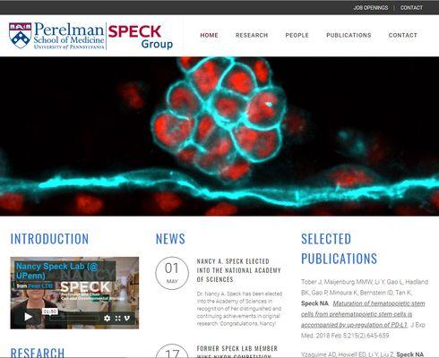 Nancy Speck's lab site feature research, lab member profiles, publications and news.