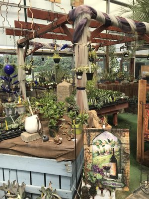 Incredible selection of succulents... many I cannot find anywhere else!!