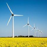 Wind Farms Design and Estimating