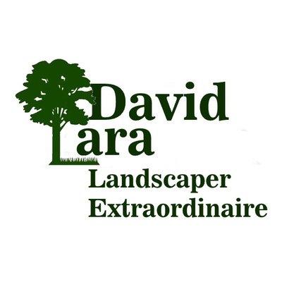 David Lara Landscaper Extraordinaire