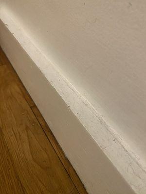 Did not clean baseboards