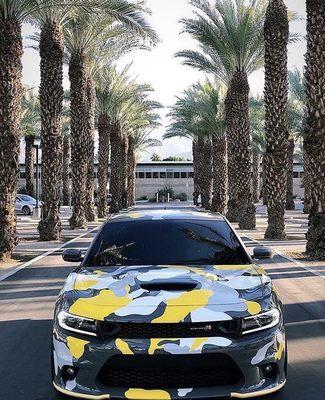 Special camouflage wrap $390