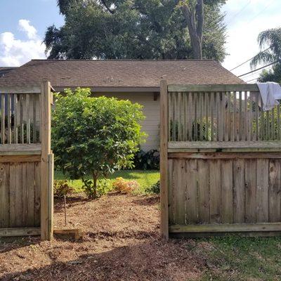 Section of fence missing, after Pecan tree removal and stump ground.