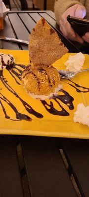 Fried ice cream