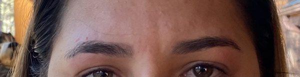 Eyebrows after waxing