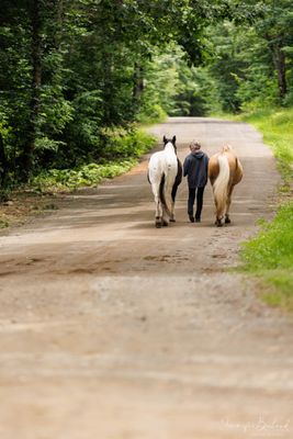 Whispering Woods Stables