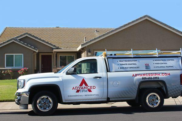 Residential Pest Control