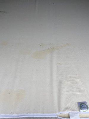 Brand new mattress with rat urine and droppings