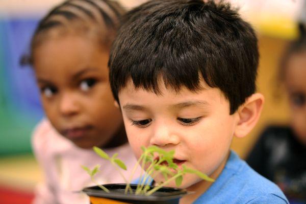 Pre-K students learn from the Creative Curriculum incorporating STEM.