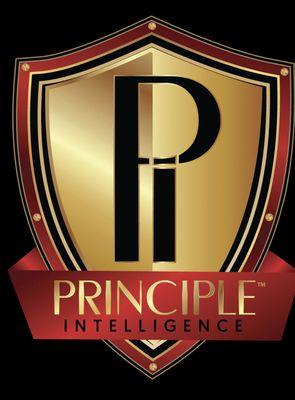 Principle Intelligence