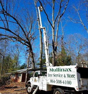 Mullinax Tree Service & More