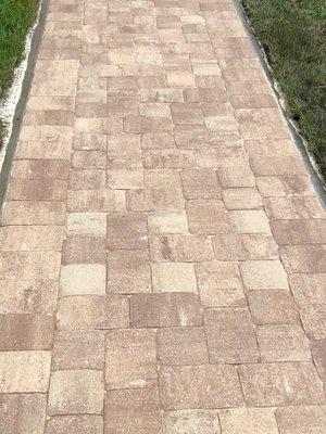 paver walkway