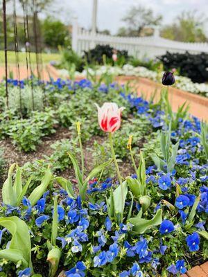 The Leach Teaching Gardens at Texas A&M University