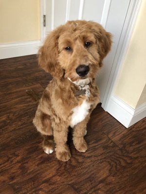 First haircut!