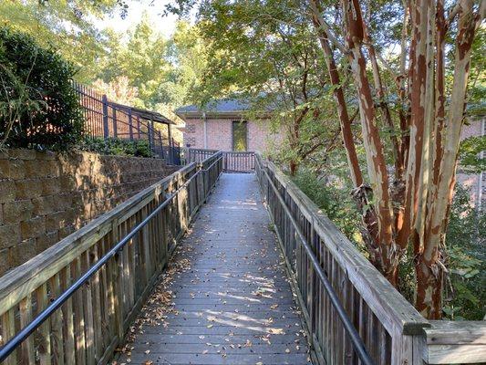 Nature boardwalk next to my office suite. Beautiful view from my office windows of the nature preserve.