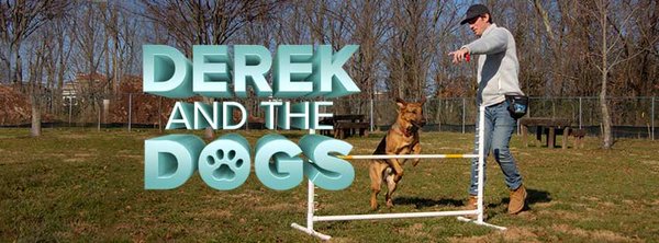 Derek and the Dogs banner