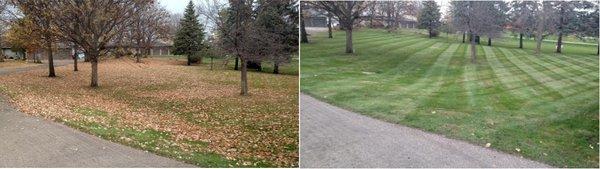 Fall Cleanup  Before and After