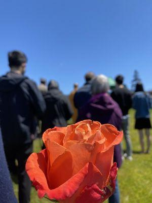 Mountain View Cemetery