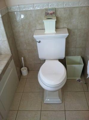 Bathroom remodel- Kohler toilet