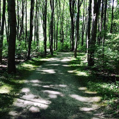 Just another curvy, shady, non-congested biking/running trail.