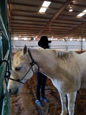 Hidden Springs Equestrian Center