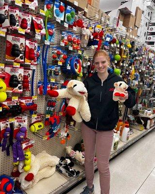 Baily showing our most popular dog toy lamb chop