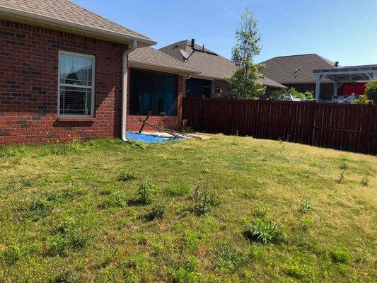 Complete backyard transformation before