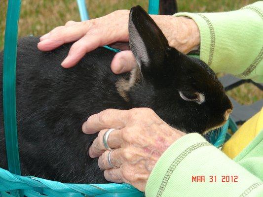 Who does not like to touch a soft bunny at Easter time? : D