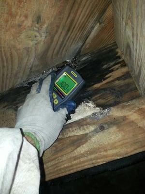 Moisture survey of this crawlspace showed the shower pan was leaking and the whole shower would need to be replaced.