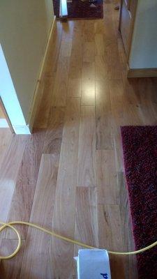 Beautiful Hardwood Flooring