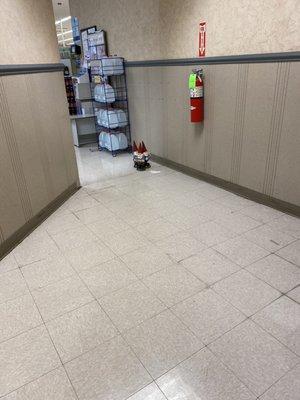 Gnomes following me to the restroom