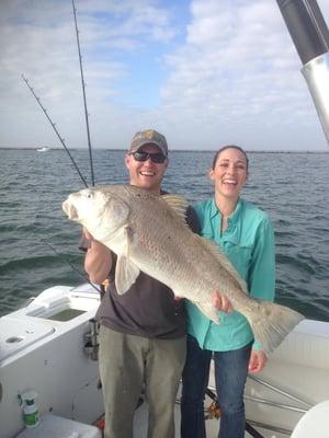 Black drum at the jetties.