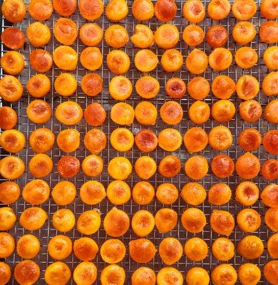 Cured Egg Yolks © Daniel Cahall 2020