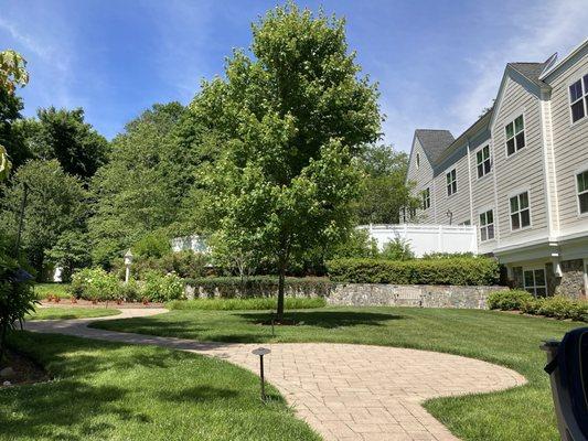 Lower level outdoor patio and garden