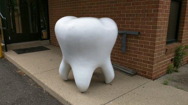 Giant tooth