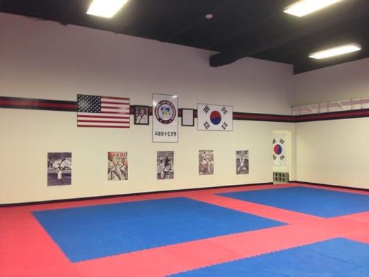 The Karate School of the Woodlands, Ince Karate, is a member of the international Tang Soo Do Federation.