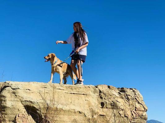 My dog and I enjoyed hiking after training. No more struggling with walking him.